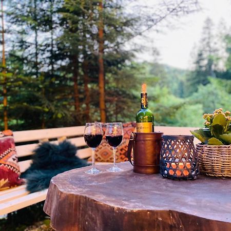Roua Bucovinei Villa Sadova  Exteriör bild