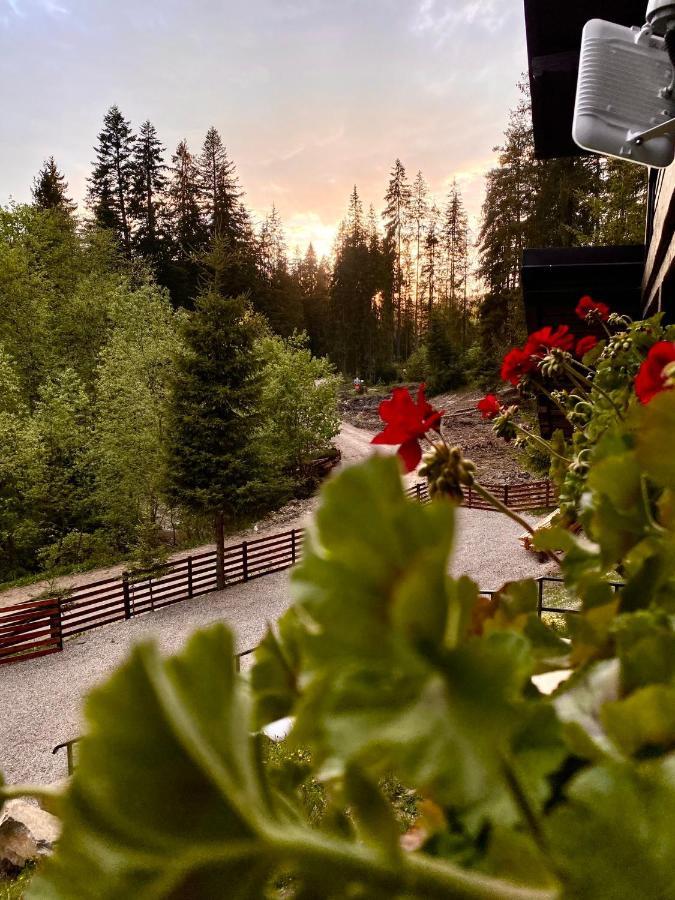 Roua Bucovinei Villa Sadova  Exteriör bild