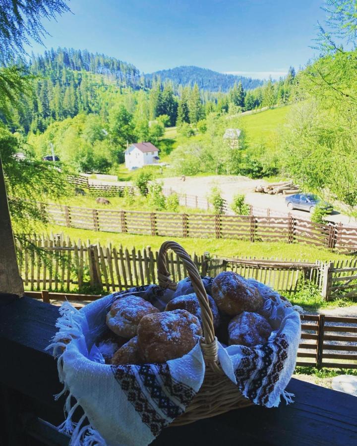 Roua Bucovinei Villa Sadova  Exteriör bild